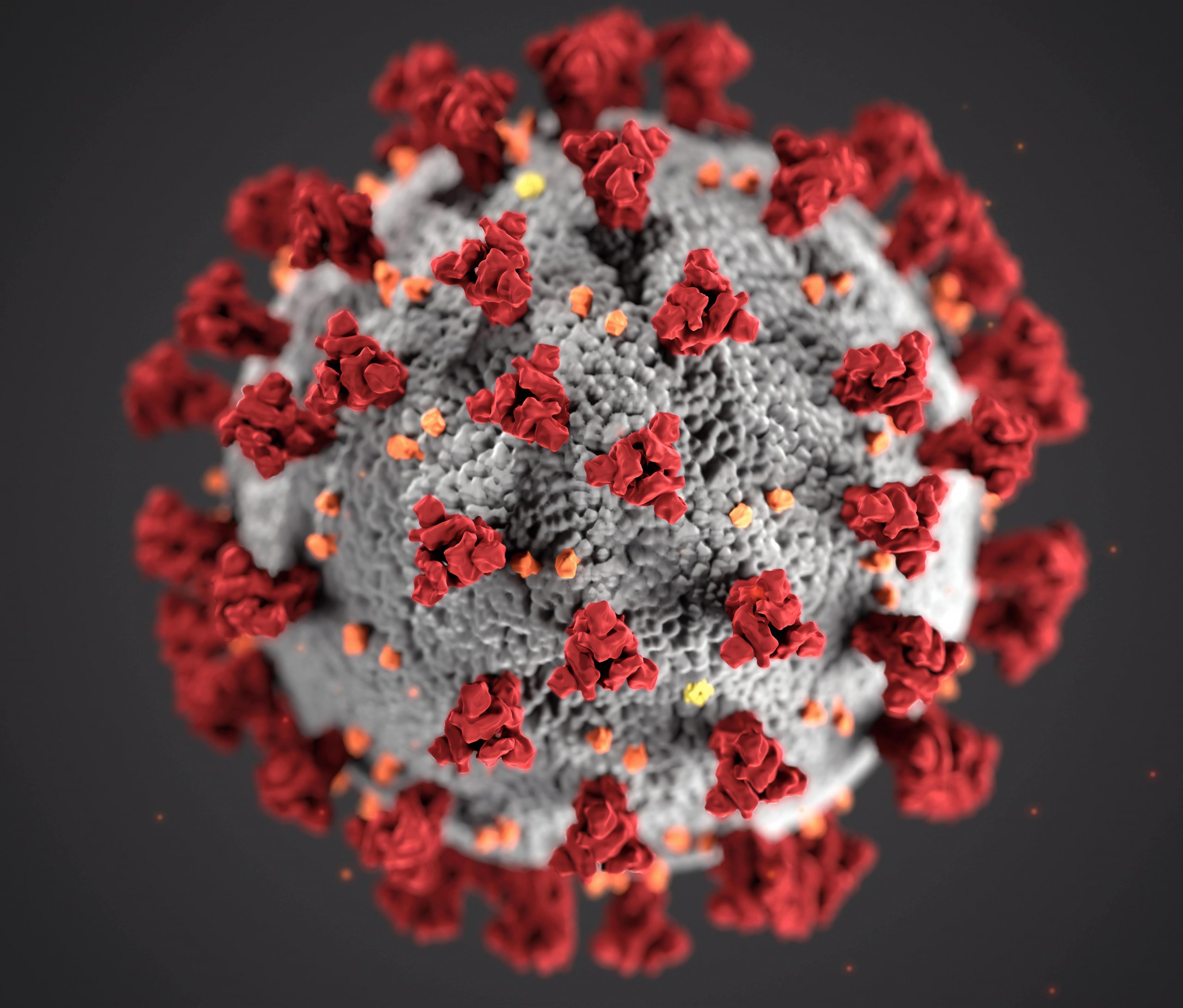 coronavirus scaled