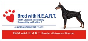 Doberman Palace Bred with HEART