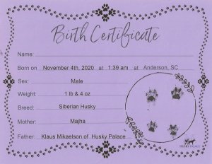 Simba's birth certificate