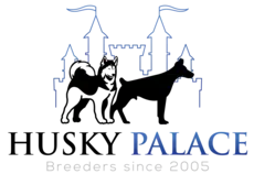 Husky Palace Logo
