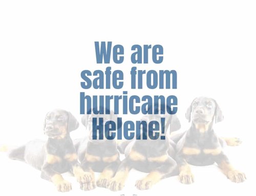 Hurricane Helene