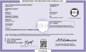 OFA exam for Raven