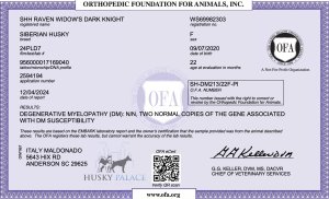 OFA exam for Raven