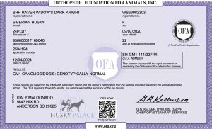 OFA exam for Raven