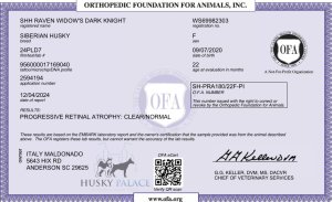 OFA exam for Raven