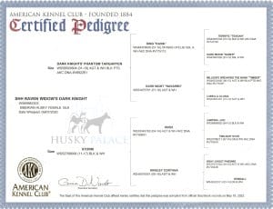 Reven's pedigree