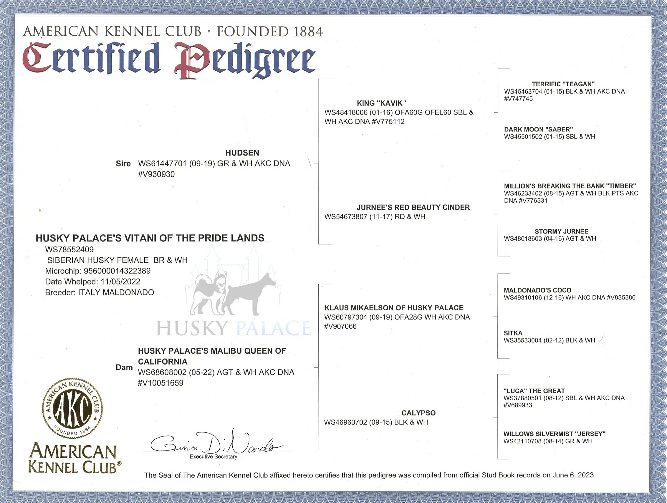 Vitani’s pedigree vitani