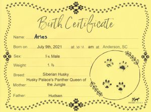 Aries' Birth Certificate