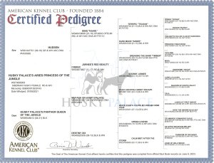 Aries's pedigree