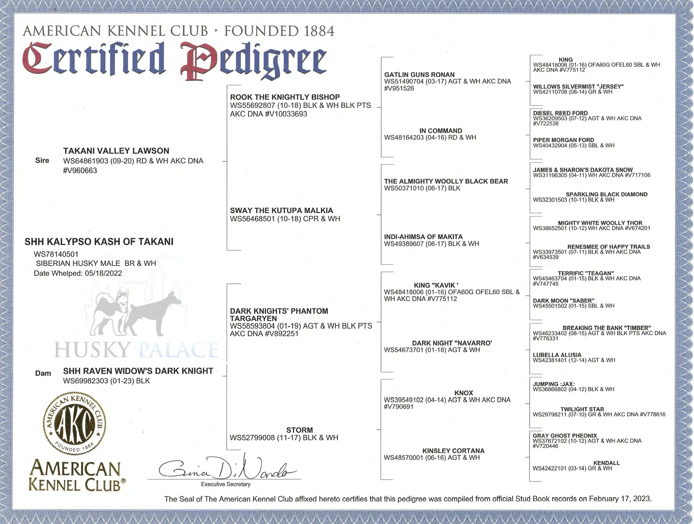 Kalypso’s AKC pedigree Kalypso's AKC pedigree