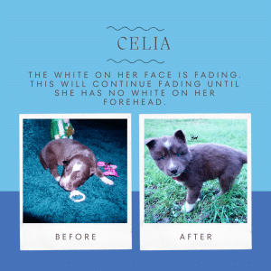 celia's reference pic