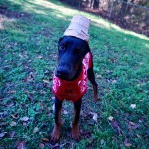 Zuko
