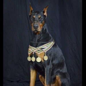 Phoenix, Great Grandfather