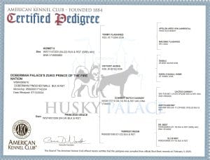 Zuko's AKC pedigree