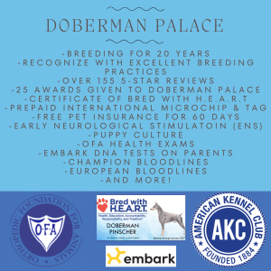 About Doberman Palace