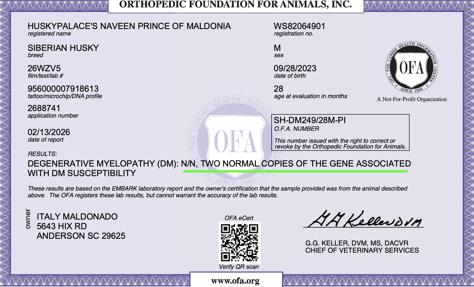 Naveen’s Degenerative Myleopathy OFA Naveen's Degenerative Myleopathy OFA