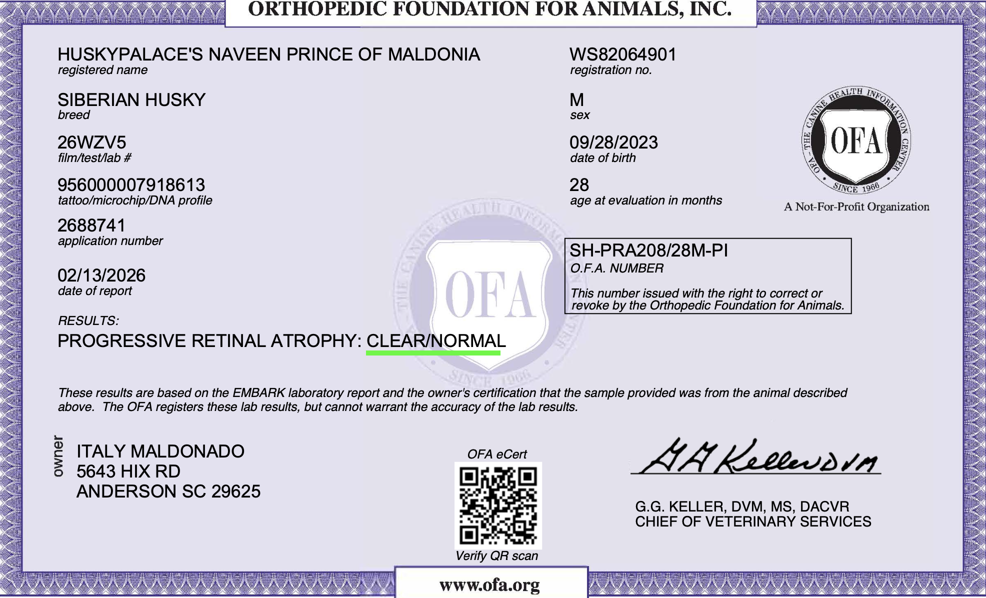 Naveen’s Progressive Retinal Atrophy OFA Naveen's Progressive Retinal Atrophy OFA