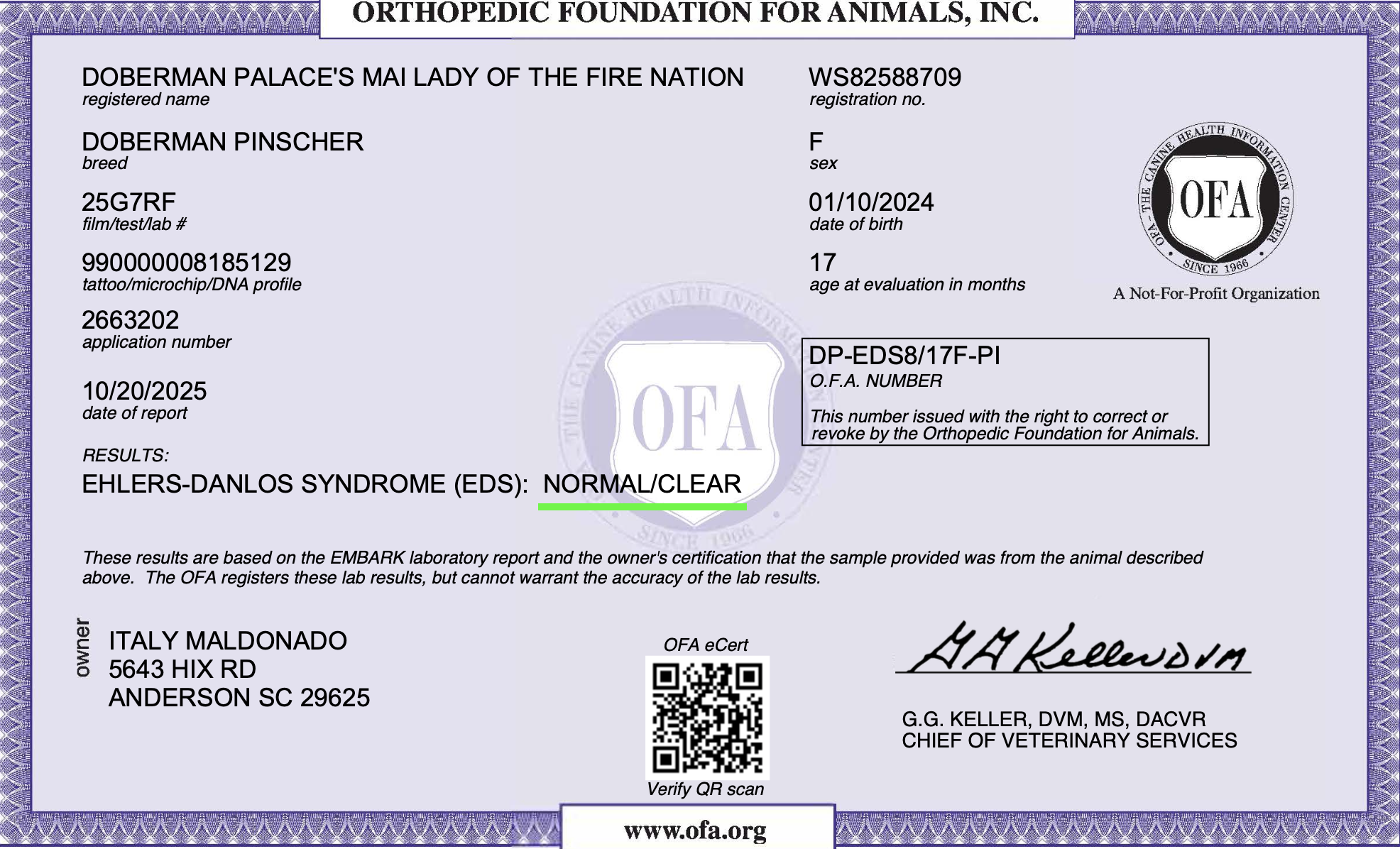 Mai’s Ehler-Danlos’s OFA Mai's Ehler-Danlos's OFA